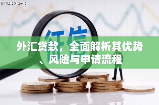 玉东外汇贷款，全面解析其优势、风险与申请流程