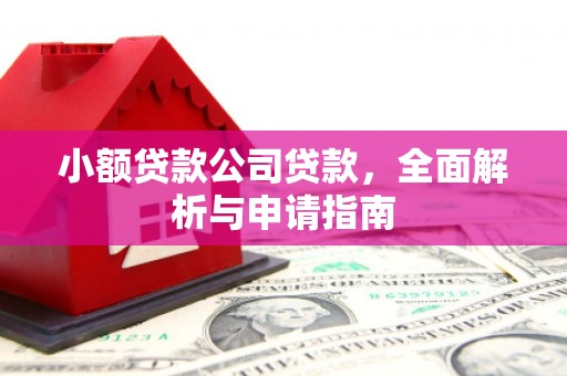 玉东小额贷款公司贷款，全面解析与申请指南