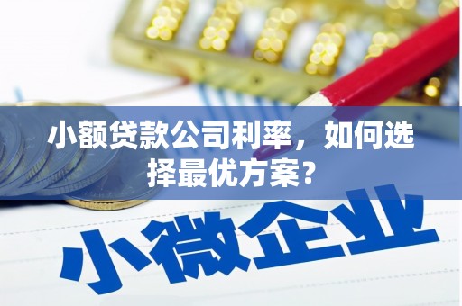 玉东小额贷款公司利率，如何选择最优方案？