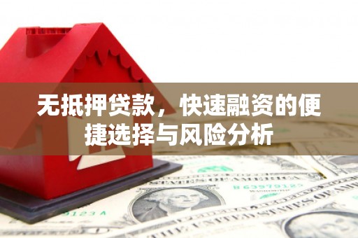 玉东无抵押贷款，快速融资的便捷选择与风险分析