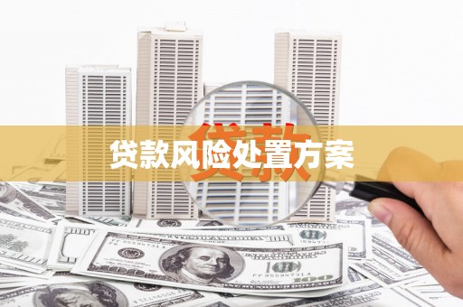玉东贷款风险处置方案