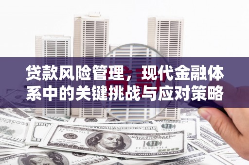 玉东贷款风险管理，现代金融体系中的关键挑战与应对策略