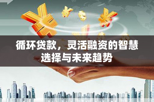 玉东循环贷款，灵活融资的智慧选择与未来趋势