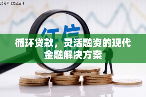 玉东循环贷款，灵活融资的现代金融解决方案