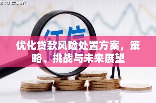 玉东优化贷款风险处置方案，策略、挑战与未来展望