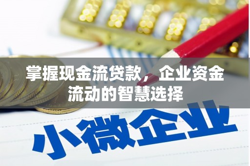 玉东掌握现金流贷款，企业资金流动的智慧选择