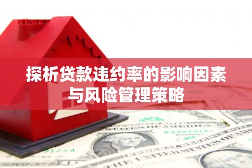 玉东探析贷款违约率的影响因素与风险管理策略