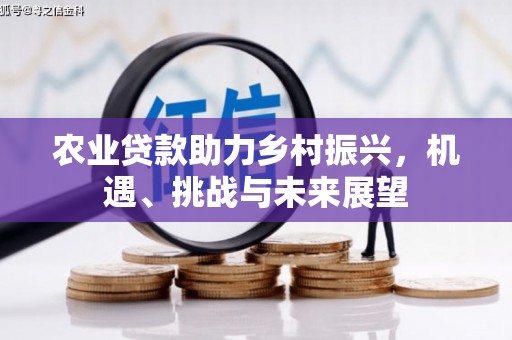 玉东农业贷款助力乡村振兴，机遇、挑战与未来展望