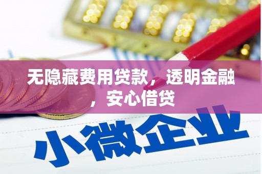 玉东无隐藏费用贷款，透明金融，安心借贷