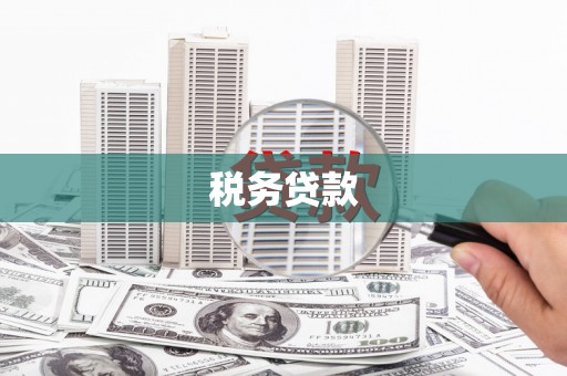 玉东税务贷款