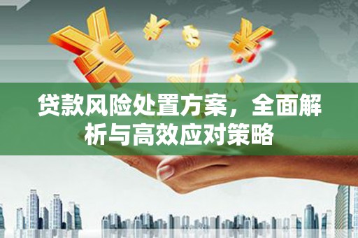 玉东贷款风险处置方案，全面解析与高效应对策略