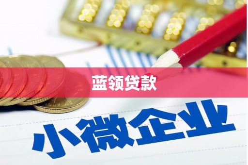 玉东蓝领贷款