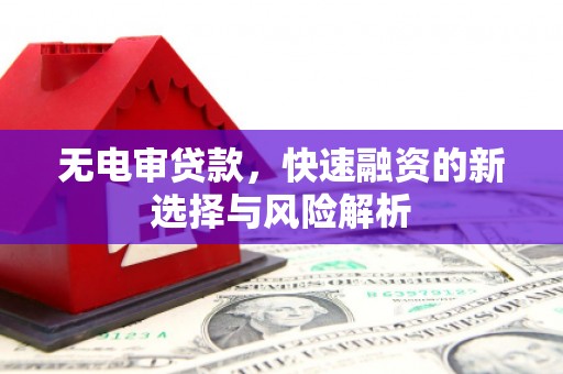 玉东无电审贷款，快速融资的新选择与风险解析