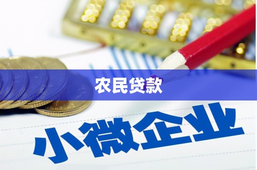 玉东农民贷款