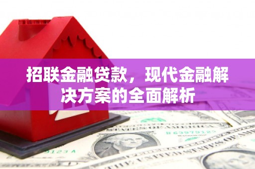 玉东招联金融贷款，现代金融解决方案的全面解析