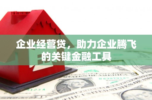 玉东企业经营贷，助力企业腾飞的关键金融工具