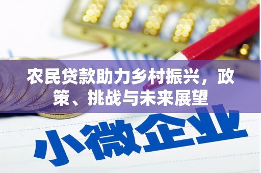 玉东农民贷款助力乡村振兴，政策、挑战与未来展望