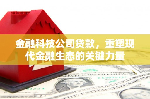 玉东金融科技公司贷款，重塑现代金融生态的关键力量