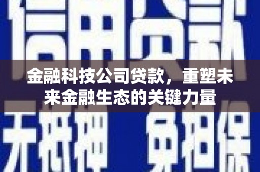 玉东金融科技公司贷款，重塑未来金融生态的关键力量