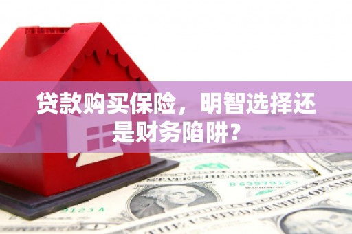 玉东贷款购买保险，明智选择还是财务陷阱？