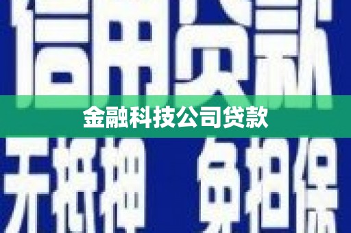 玉东金融科技公司贷款