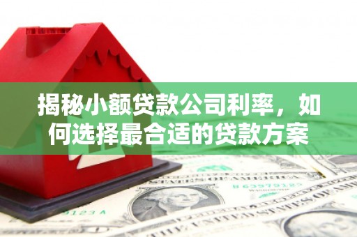 玉东揭秘小额贷款公司利率，如何选择最合适的贷款方案
