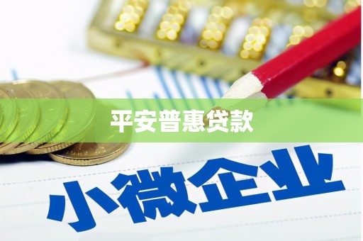 玉东平安普惠贷款