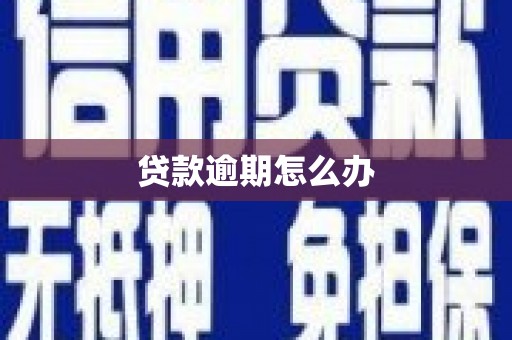 玉东贷款逾期怎么办