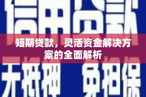 玉东短期贷款，灵活资金解决方案的全面解析