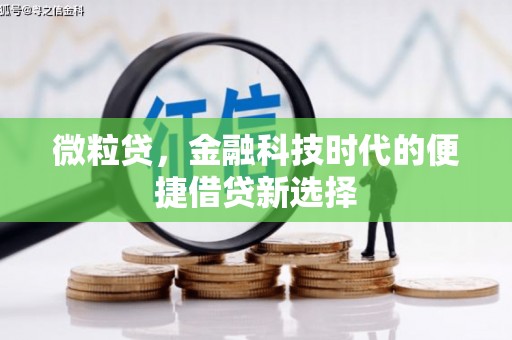 玉东微粒贷，金融科技时代的便捷借贷新选择