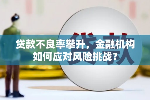玉东贷款不良率攀升，金融机构如何应对风险挑战？
