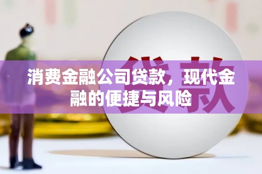 玉东消费金融公司贷款，现代金融的便捷与风险