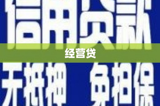 玉东经营贷