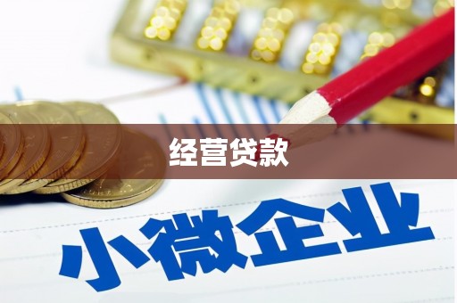 玉东经营贷款